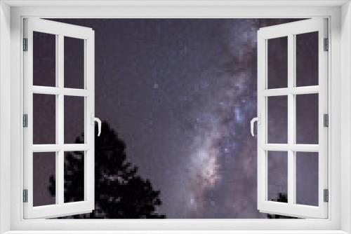Fototapeta Naklejka Na Ścianę Okno 3D - Milky Way and silhouette tree