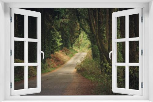 Fototapeta Naklejka Na Ścianę Okno 3D - Forest path in Sintra Mountains in Portugal