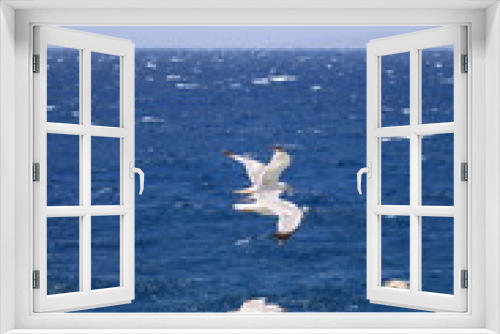 Fototapeta Naklejka Na Ścianę Okno 3D - Seagulls flying