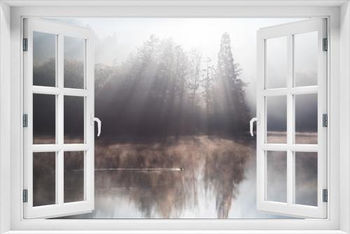 Fototapeta Naklejka Na Ścianę Okno 3D - Duck above a misty lake