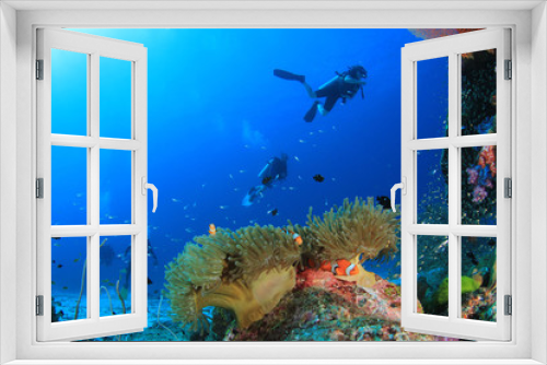 Fototapeta Naklejka Na Ścianę Okno 3D - Scuba diving on coral reef underwater