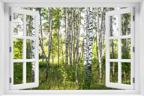 Fototapeta Naklejka Na Ścianę Okno 3D - summer in sunny birch forest