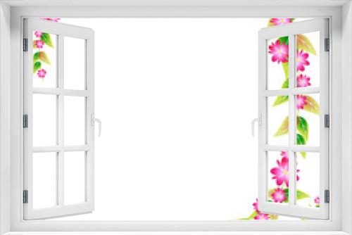 Fototapeta Naklejka Na Ścianę Okno 3D - beautiful  flowers, on a white
