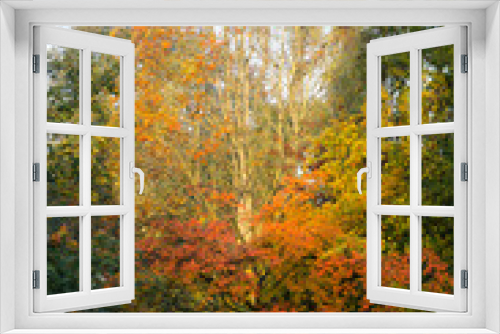 Fototapeta Naklejka Na Ścianę Okno 3D - London park in autumn