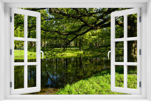 Fototapeta Naklejka Na Ścianę Okno 3D - Tree on the Bank of the pond