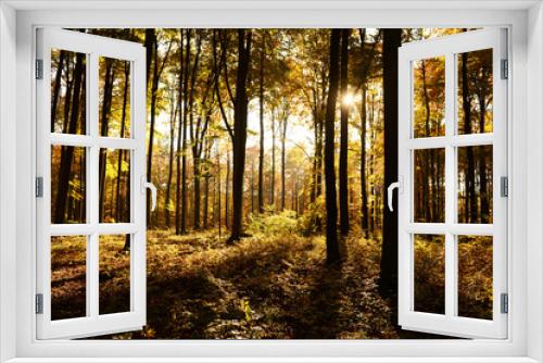 Fototapeta Naklejka Na Ścianę Okno 3D - autumn forest