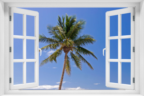 Fototapeta Naklejka Na Ścianę Okno 3D - beach paradise palm