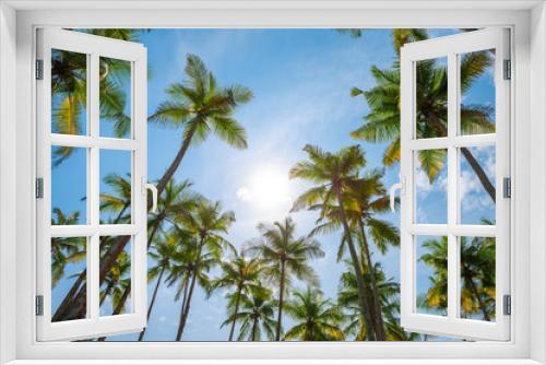 Fototapeta Naklejka Na Ścianę Okno 3D - Exotic tropical palm trees at summer, view from bottom up to the sky at sunny day
