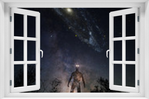 Fototapeta Naklejka Na Ścianę Okno 3D - Star alien silhouette