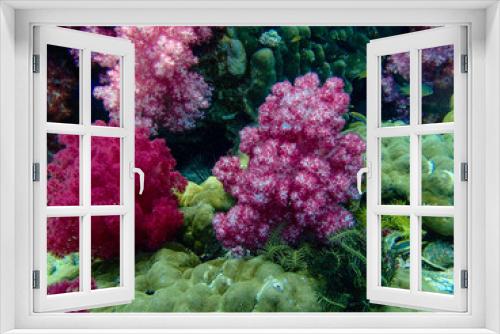 Fototapeta Naklejka Na Ścianę Okno 3D - colorful coral reef