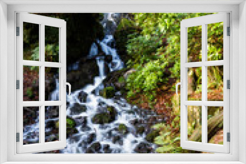 Fototapeta Naklejka Na Ścianę Okno 3D - Waterfall in mossy woodland.