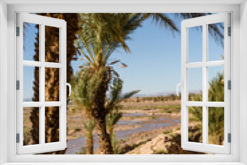 Fototapeta Naklejka Na Ścianę Okno 3D - River at Zagora, Morocco