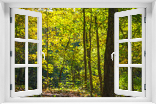 Fototapeta Naklejka Na Ścianę Okno 3D - Fall foliage in West Virginia