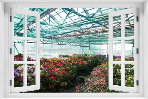 Fototapeta Naklejka Na Ścianę Okno 3D - Large garden of azaleas in botanical garden.