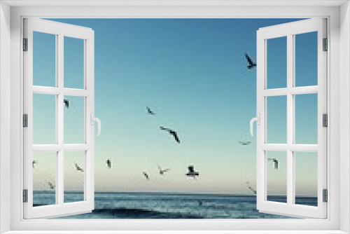Fototapeta Naklejka Na Ścianę Okno 3D - sea ​​sunset and flying seagulls