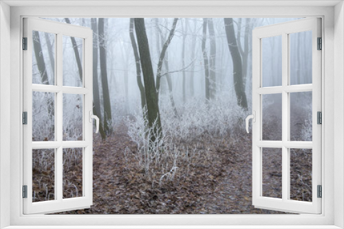 Fototapeta Naklejka Na Ścianę Okno 3D - winter forest