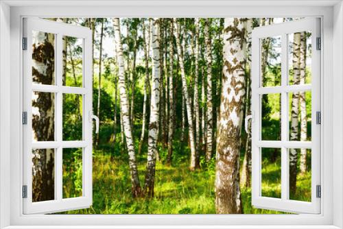 Fototapeta Naklejka Na Ścianę Okno 3D - summer in sunny birch forest