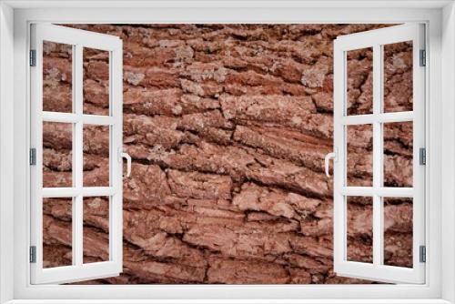 Fototapeta Naklejka Na Ścianę Okno 3D - background the bark of a tree structure brown