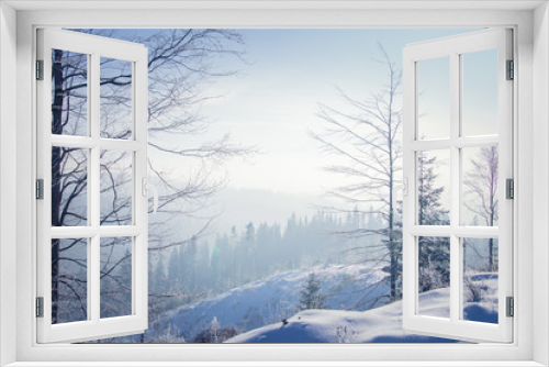Fototapeta Naklejka Na Ścianę Okno 3D - Winter forest in the Carpathians