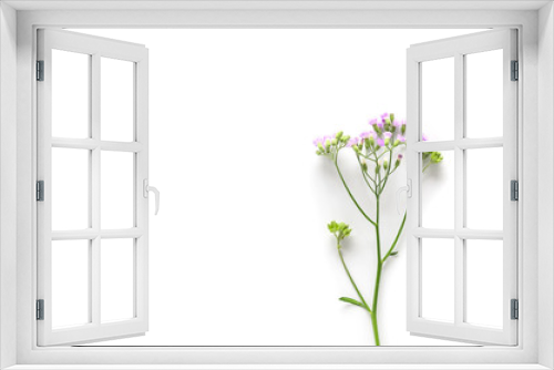 Fototapeta Naklejka Na Ścianę Okno 3D - flowers on white background. Top view, flat lay