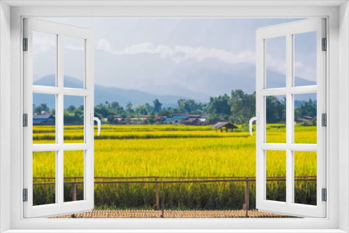 Fototapeta Naklejka Na Ścianę Okno 3D - green and golden organic paddy rice field with a little hut and bamboo walkway in the morning with mountains and blue sky background, rural area, Nan province, northeast of Thailand, southeast Asia