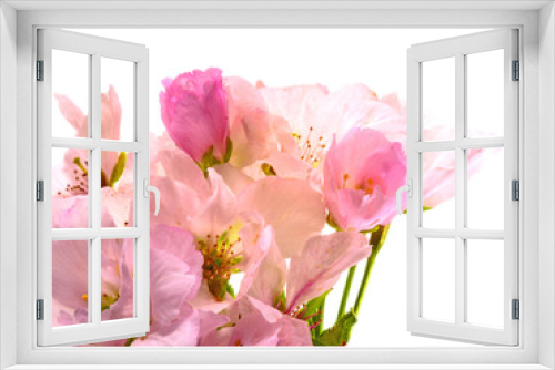 Fototapeta Naklejka Na Ścianę Okno 3D - Spring Dream : Japanese cherry blossoms :)