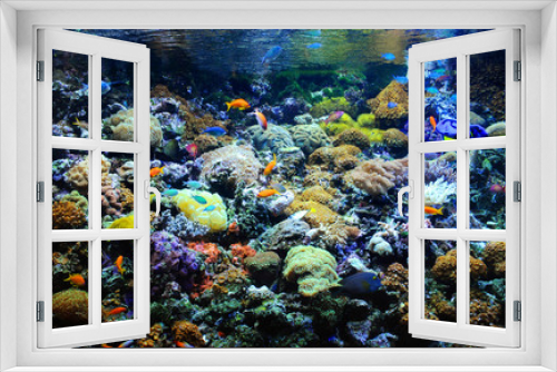 Fototapeta Naklejka Na Ścianę Okno 3D - Many small fish in the colorful coral reef