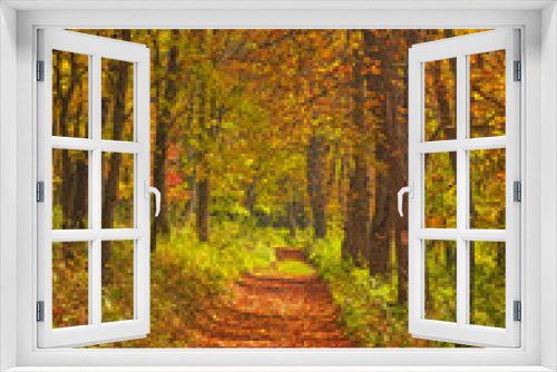 Fototapeta Naklejka Na Ścianę Okno 3D - Nice autumnal scene