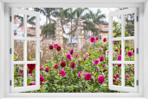 Fototapeta Naklejka Na Ścianę Okno 3D - Dahlia pinnata in garden