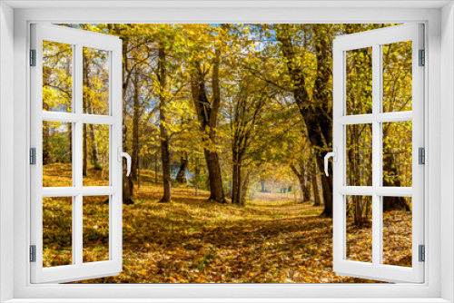 Fototapeta Naklejka Na Ścianę Okno 3D - Path under the yellow trees and blue sky - autumn