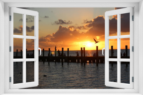 Fototapeta Naklejka Na Ścianę Okno 3D - Pelicans in the sunset