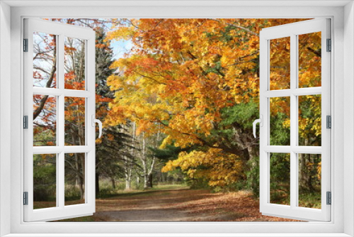 Fototapeta Naklejka Na Ścianę Okno 3D - Beautiful fall day