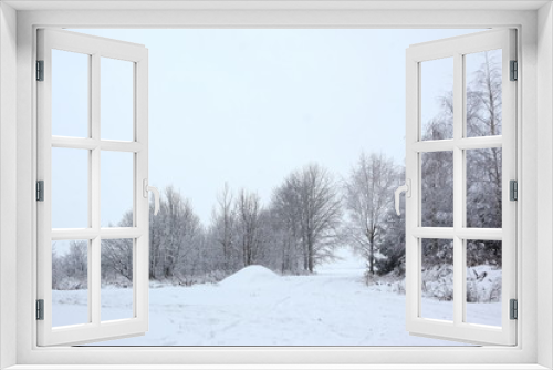 Fototapeta Naklejka Na Ścianę Okno 3D - Drzewa liściaste w zimie