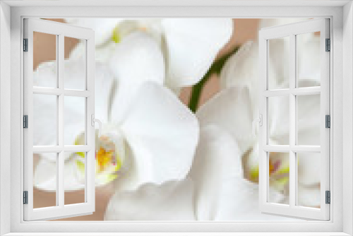 Fototapeta Naklejka Na Ścianę Okno 3D - Blooming white orchid on wooden background
