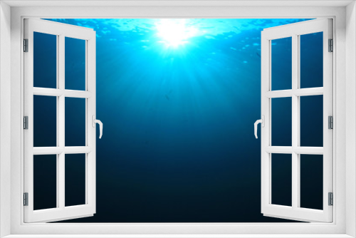 Fototapeta Naklejka Na Ścianę Okno 3D - Underwater ocean background photo