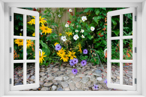 Fototapeta Naklejka Na Ścianę Okno 3D - Colorful English garden flowers along a pebble path