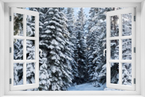 Fototapeta Naklejka Na Ścianę Okno 3D - Snowy Landscape
