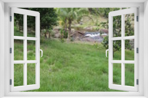 Fototapeta Naklejka Na Ścianę Okno 3D - Guyane - Saül Dec 2016 - Crique Popotte 