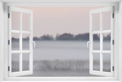 Fototapeta Naklejka Na Ścianę Okno 3D - dense fog