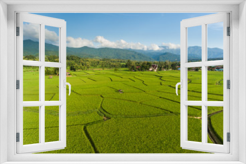 Fototapeta Naklejka Na Ścianę Okno 3D - Rice farm Map, Bird Eye View