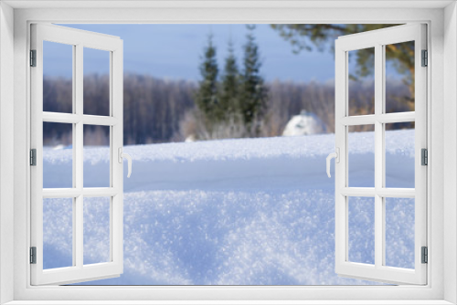 Fototapeta Naklejka Na Ścianę Okno 3D - Beautiful landscape of winter to Siberia

