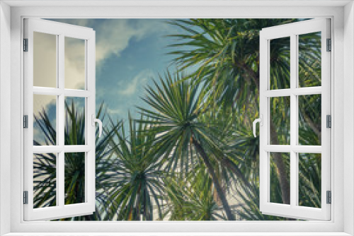 Fototapeta Naklejka Na Ścianę Okno 3D - Palm Trees Against Sky