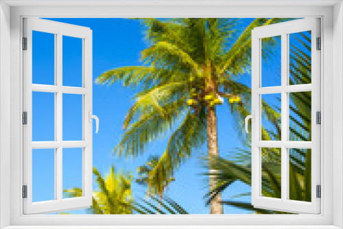Fototapeta Naklejka Na Ścianę Okno 3D - Tropical paradise on the island of Frades