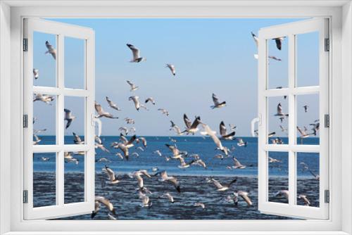 Fototapeta Naklejka Na Ścianę Okno 3D - the bird seagulls flying on blue sky in evening time
