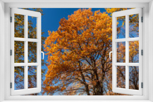 Fototapeta Naklejka Na Ścianę Okno 3D - Sunshine autumn day