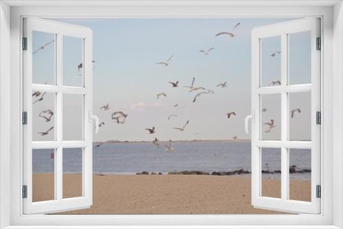 Fototapeta Naklejka Na Ścianę Okno 3D - Bird Herd