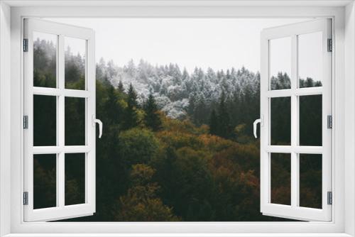 Fototapeta Naklejka Na Ścianę Okno 3D - Forest foliage in autumn