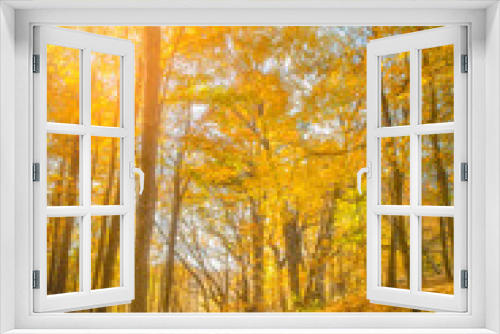 Fototapeta Naklejka Na Ścianę Okno 3D - Fall Leaves at Pewits Nest, Baraboo, Wisconsin, USA