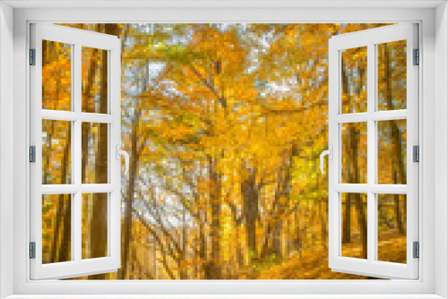 Fototapeta Naklejka Na Ścianę Okno 3D - Fall Leaves at Pewits Nest, Baraboo, Wisconsin, USA