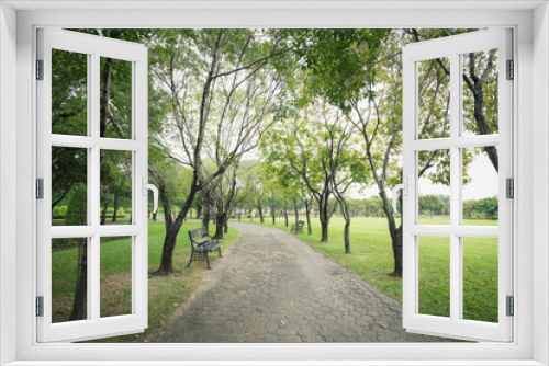 Fototapeta Naklejka Na Ścianę Okno 3D - Walkway inside public green park